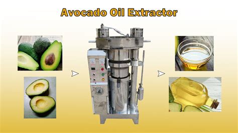 centrifuge extracted avocado oil|cold pressed avocado oil extraction.